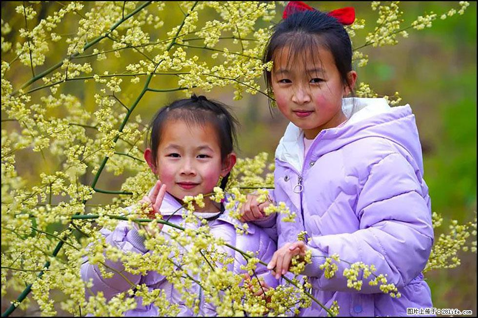 【春天，广西桂林灌阳县向您发出邀请！】米珠山前有片山苍子花在飘香 - 游山玩水 - 绥化生活社区 - 绥化28生活网 suihua.28life.com