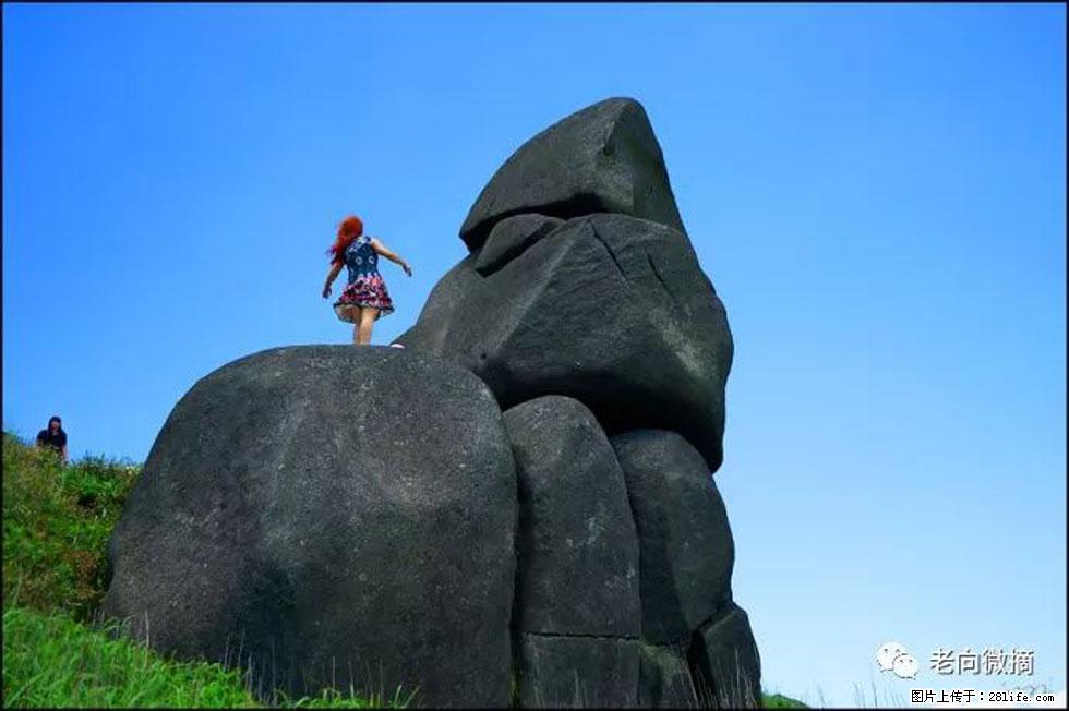 【春天,广西桂林灌阳县向您发出邀请!】宝盖山上映山红 - 游山玩水 - 绥化生活社区 - 绥化28生活网 suihua.28life.com