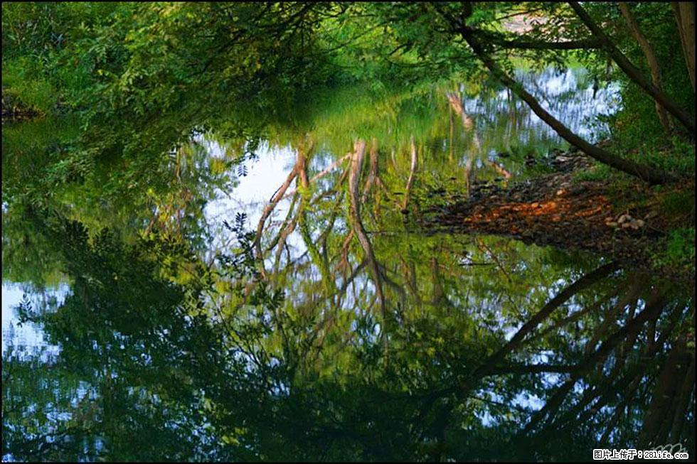 【春天,广西桂林灌阳县向您发出邀请!】熊家寨湿地公园 - 游山玩水 - 绥化生活社区 - 绥化28生活网 suihua.28life.com