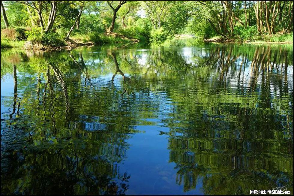 【春天,广西桂林灌阳县向您发出邀请!】熊家寨湿地公园 - 游山玩水 - 绥化生活社区 - 绥化28生活网 suihua.28life.com