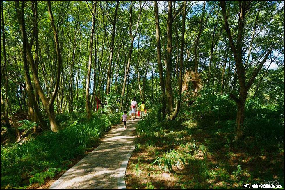 【春天,广西桂林灌阳县向您发出邀请!】熊家寨湿地公园 - 游山玩水 - 绥化生活社区 - 绥化28生活网 suihua.28life.com