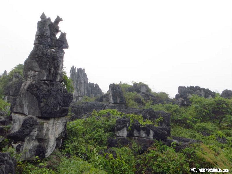 桂林旅游名城景点:灌阳文市石林 - 游山玩水 - 绥化生活社区 - 绥化28生活网 suihua.28life.com