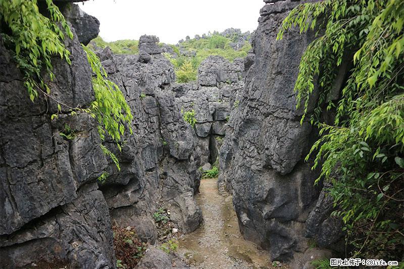 桂林旅游名城景点:灌阳文市石林 - 游山玩水 - 绥化生活社区 - 绥化28生活网 suihua.28life.com