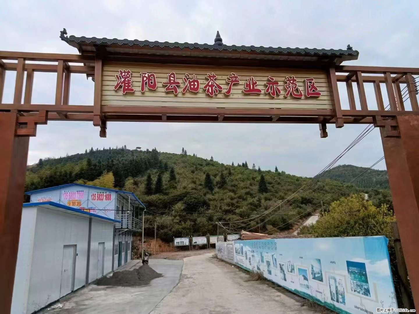 【灌阳县油茶产业示范区】一个有着充实的精神生活的人,对待身外之物自会有一种淡泊的态度 - 美食天地 - 绥化生活社区 - 绥化28生活网 suihua.28life.com