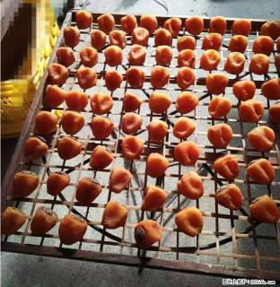 广西桂林平乐桥亭【柿饼之乡】2025年纯手工制作、无任何添加剂的第一批柿饼准备上市了，欢迎联系订购！ - 绥化28生活网 suihua.28life.com