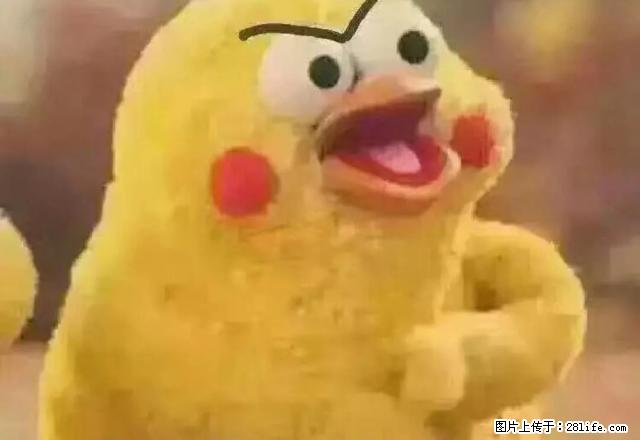 南二东路 正大街近 拎包就住 5楼 10000一年 - 房屋出租 - 房屋租售 - 绥化分类信息 - 绥化28生活网 suihua.28life.com