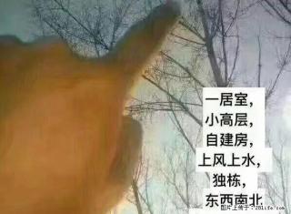 交通新苑 南北通透 性价比高 地段好 紧邻十中 - 绥化28生活网 suihua.28life.com