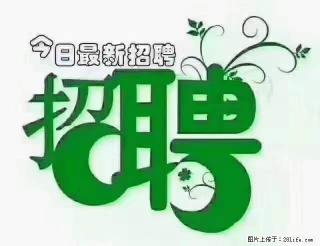 【招聘摄像师】待遇:试用期6000元/月,转正7000元/月+五险一金+餐补+节日福利+奖金 - 绥化28生活网 suihua.28life.com