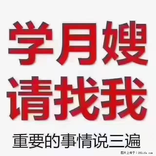 【招聘】月嫂，上海徐汇区 - 职场交流 - 绥化生活社区 - 绥化28生活网 suihua.28life.com