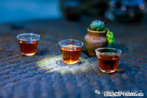 时间果百年古树2025年春红茶 - 购物交流 - 绥化生活社区 - 绥化28生活网 suihua.28life.com