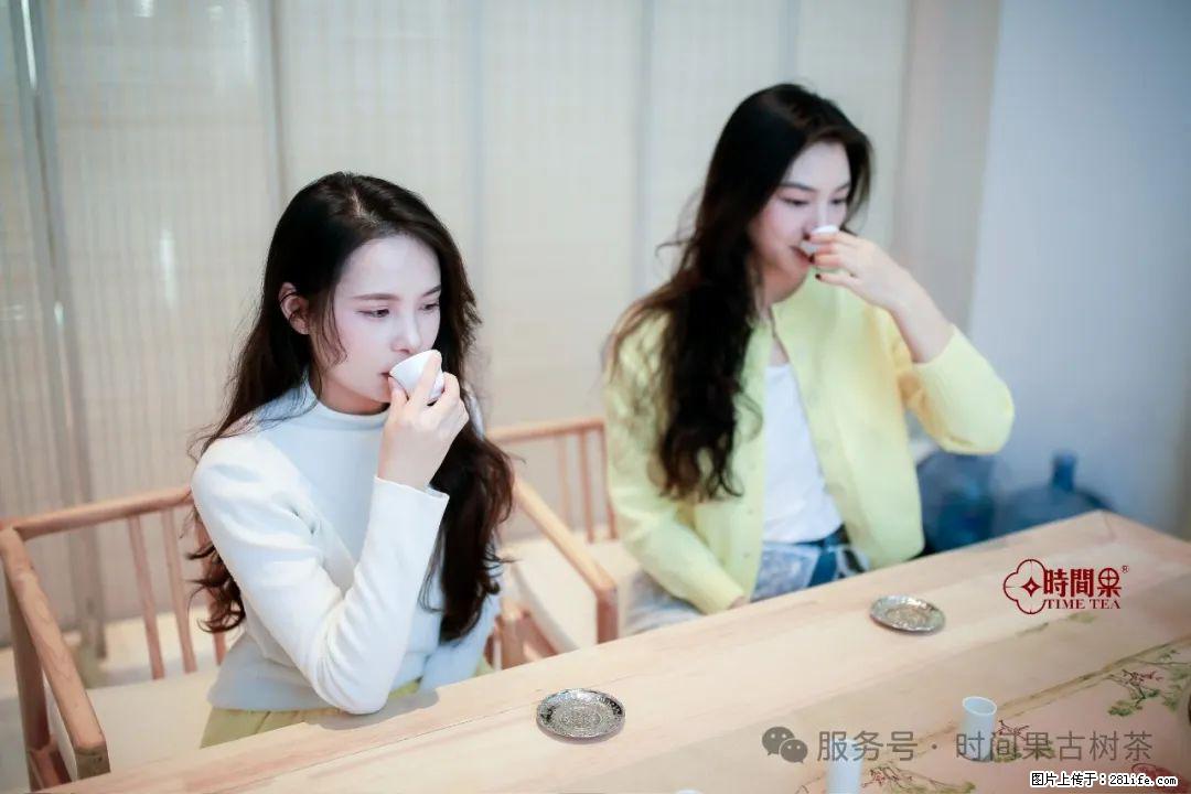 时间果百年古树龙珠普洱生茶 - 购物交流 - 绥化生活社区 - 绥化28生活网 suihua.28life.com