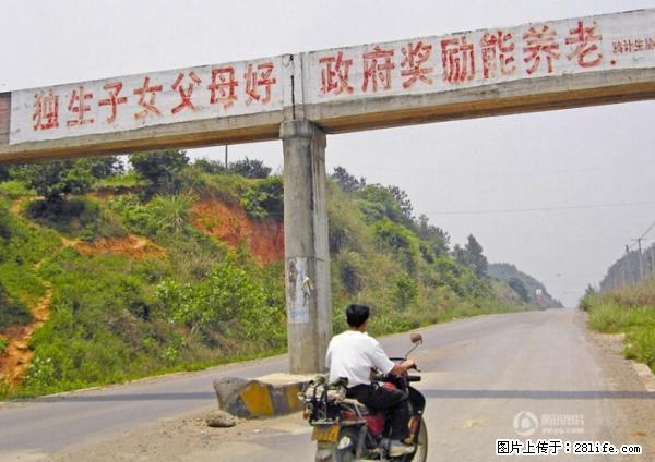 全面两孩政策计划明年元旦起实施 夫妻可延长生育假 - 绥化生活资讯 - 绥化28生活网 suihua.28life.com