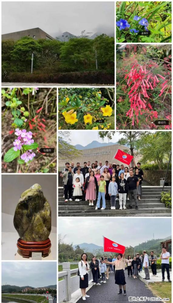 “粤灌文化 美好生活”油茶文化主题活动在广东深圳成功举办 - 绥化生活资讯 - 绥化28生活网 suihua.28life.com