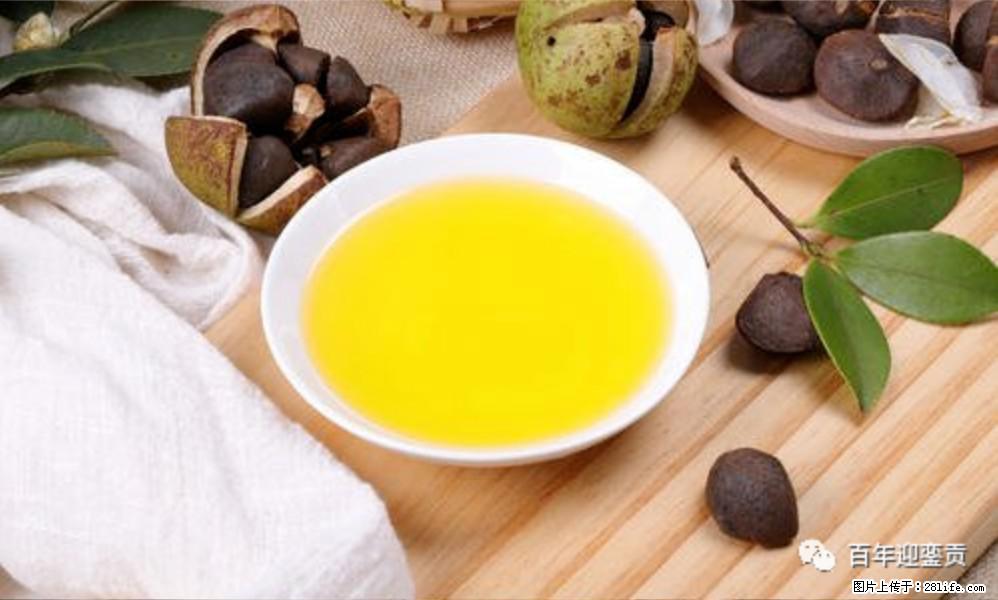 揭秘茶油的5大核心营养成分!被称为人体健康的“守护盾”! - 绥化生活资讯 - 绥化28生活网 suihua.28life.com