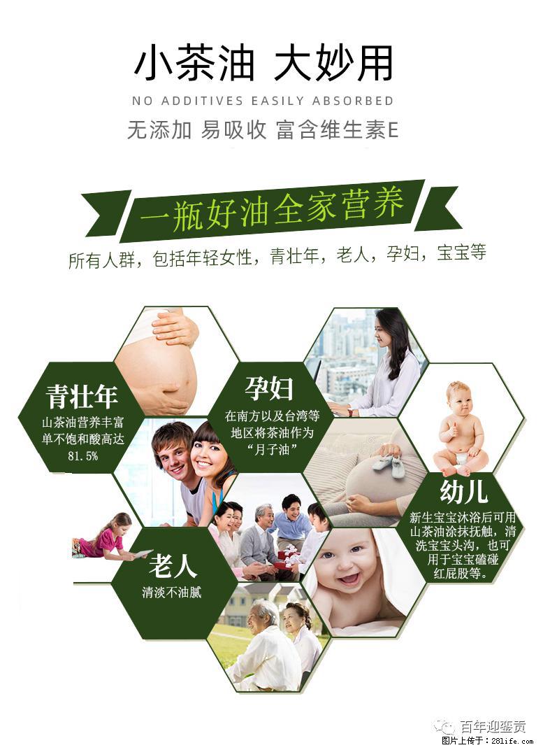 世界没有真相,只有认知,最好的食用油是中国的山茶油! - 绥化生活资讯 - 绥化28生活网 suihua.28life.com