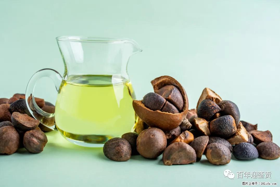 世界没有真相，只有认知，最好的食用油是中国的山茶油！ - 绥化生活资讯 - 绥化28生活网 suihua.28life.com