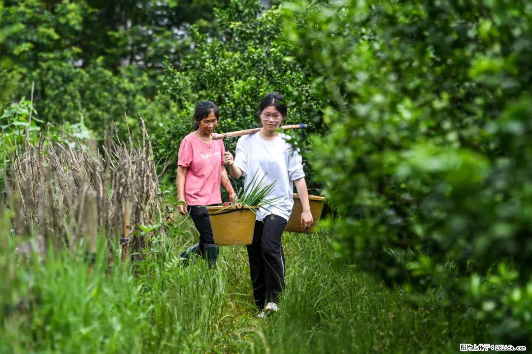 全网追的“扁担女孩”，找了一份暑假工，时薪12元 - 绥化生活资讯 - 绥化28生活网 suihua.28life.com