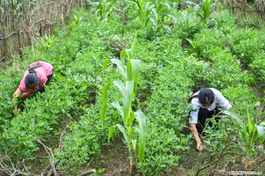 全网追的“扁担女孩”，找了一份暑假工，时薪12元 - 绥化生活资讯 - 绥化28生活网 suihua.28life.com