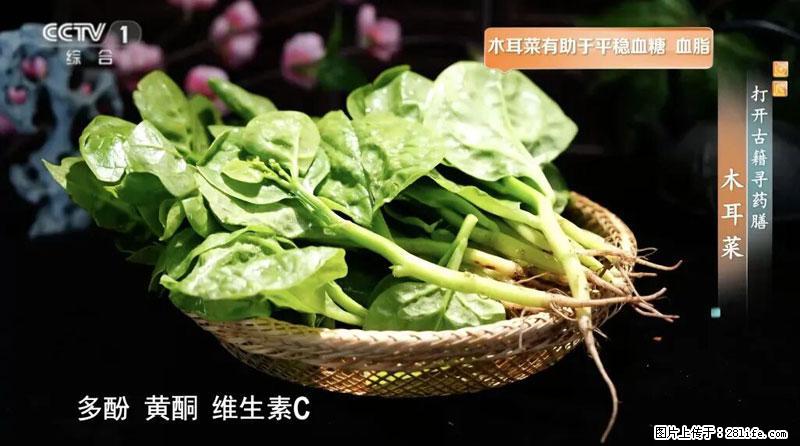 比牛奶补钙还厉害！凉血解毒、稳血糖...这菜冬天必吃，很多人却当草 - 绥化生活资讯 - 绥化28生活网 suihua.28life.com