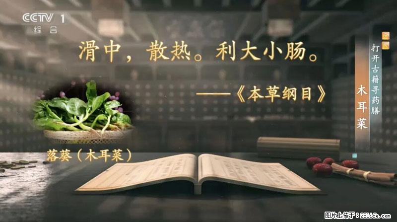 比牛奶补钙还厉害！凉血解毒、稳血糖...这菜冬天必吃，很多人却当草 - 绥化生活资讯 - 绥化28生活网 suihua.28life.com