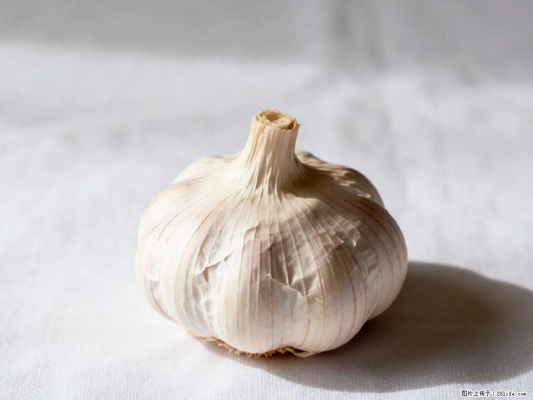 关于大蒜，除了“天然抗生素”，这4个谣言更该警惕! - 绥化生活资讯 - 绥化28生活网 suihua.28life.com