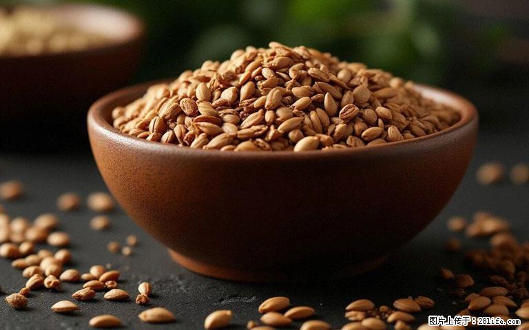 这三苦是三高“克星”，心血管干净不易堵！每天吃一点，指标慢慢降下来~ - 绥化生活资讯 - 绥化28生活网 suihua.28life.com