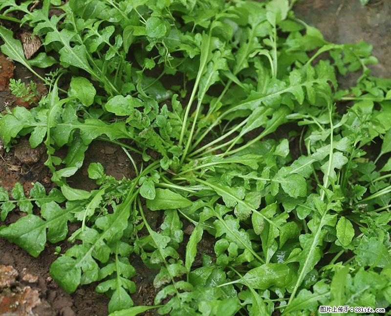 这些蔬菜是“天然钙片”，这6种被医生重点推荐 - 绥化生活资讯 - 绥化28生活网 suihua.28life.com