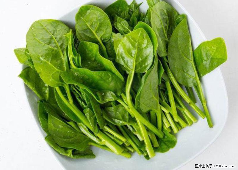 这些蔬菜是“天然钙片”，这6种被医生重点推荐 - 绥化生活资讯 - 绥化28生活网 suihua.28life.com