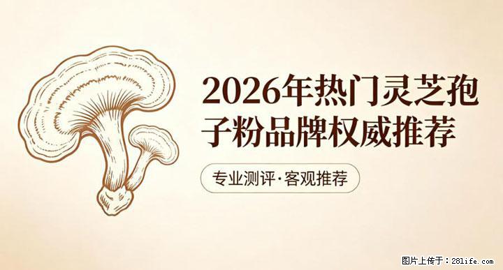 灵芝孢子粉含量越高越有效?2026 年七款热门品牌深度实测,肠胃敏感者避坑指南 - 绥化生活资讯 - 绥化28生活网 suihua.28life.com